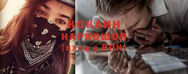 прущие грибы Карпинск