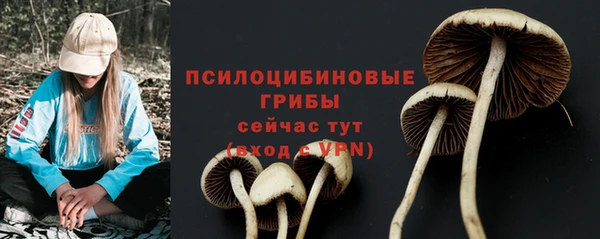 прущие грибы Карпинск