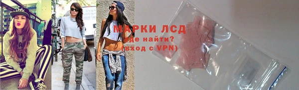 прущие грибы Карпинск