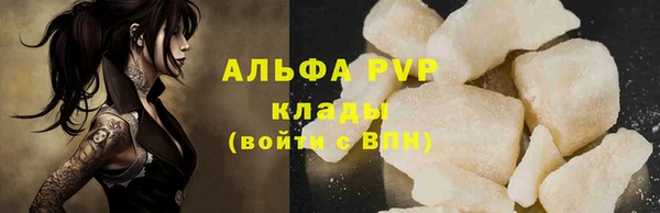 прущие грибы Карпинск