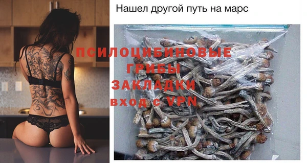 прущие грибы Карпинск
