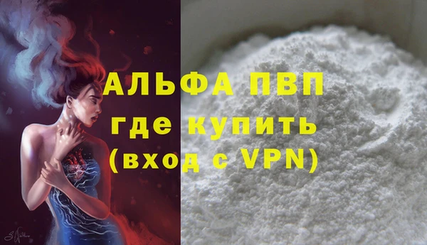 прущие грибы Карпинск