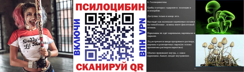 Галлюциногенные грибы MAGIC MUSHROOMS  Купить  Дальнегорск 